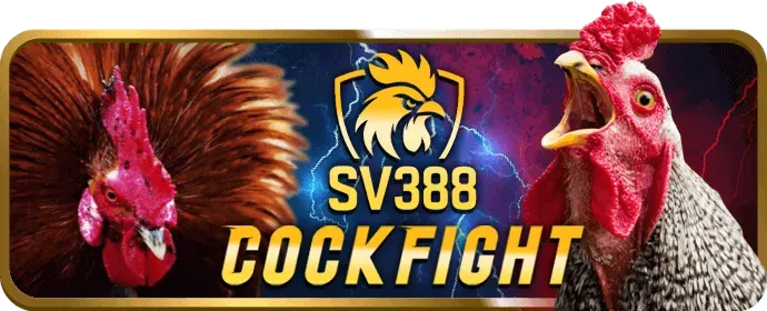Cá cược bóng rổ và quần vợt sodo79